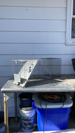 Wire trap for wildlife animals