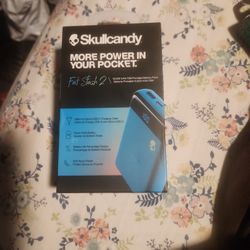 Skullcandy Fat Stash 2 