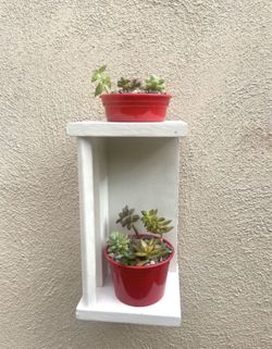 Wall shelf with succulents