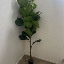 Artificial Fiddle Leaf Fig Plant