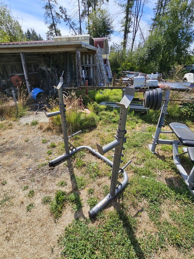 Squat Rack & Utility Bench