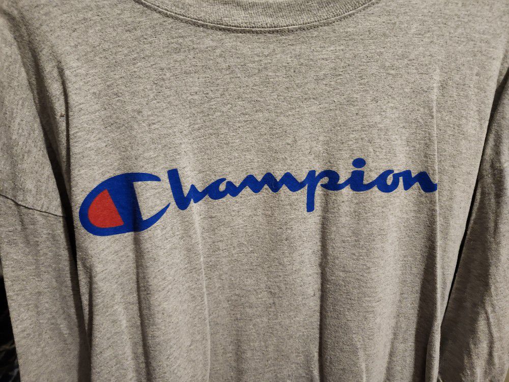 Champion T-shirt In Gray