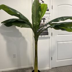 Big Fake Plant 