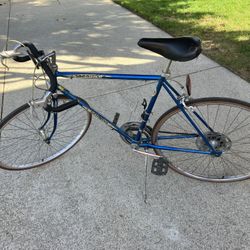 Schwinn Varsity Bicycle 