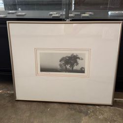 Spring Morning Black and White Framed Landscape Photograph