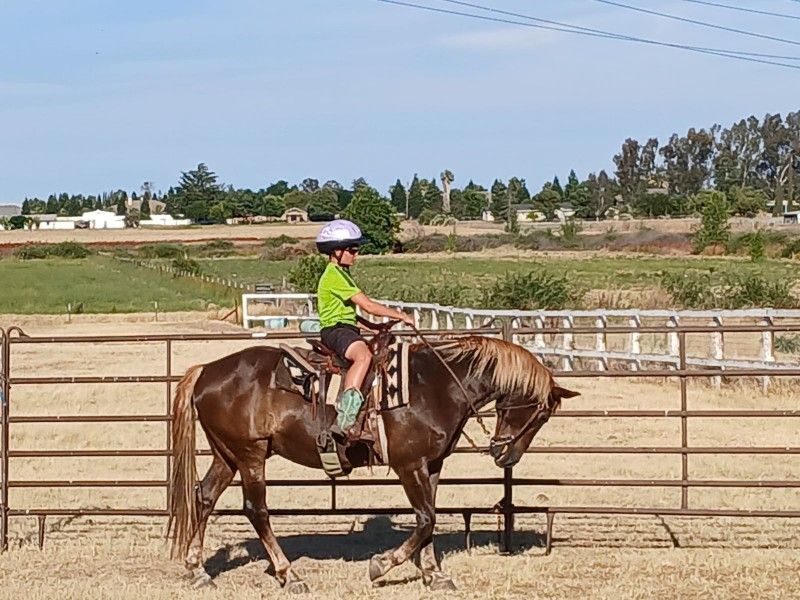 Kids Safe Trail Horse