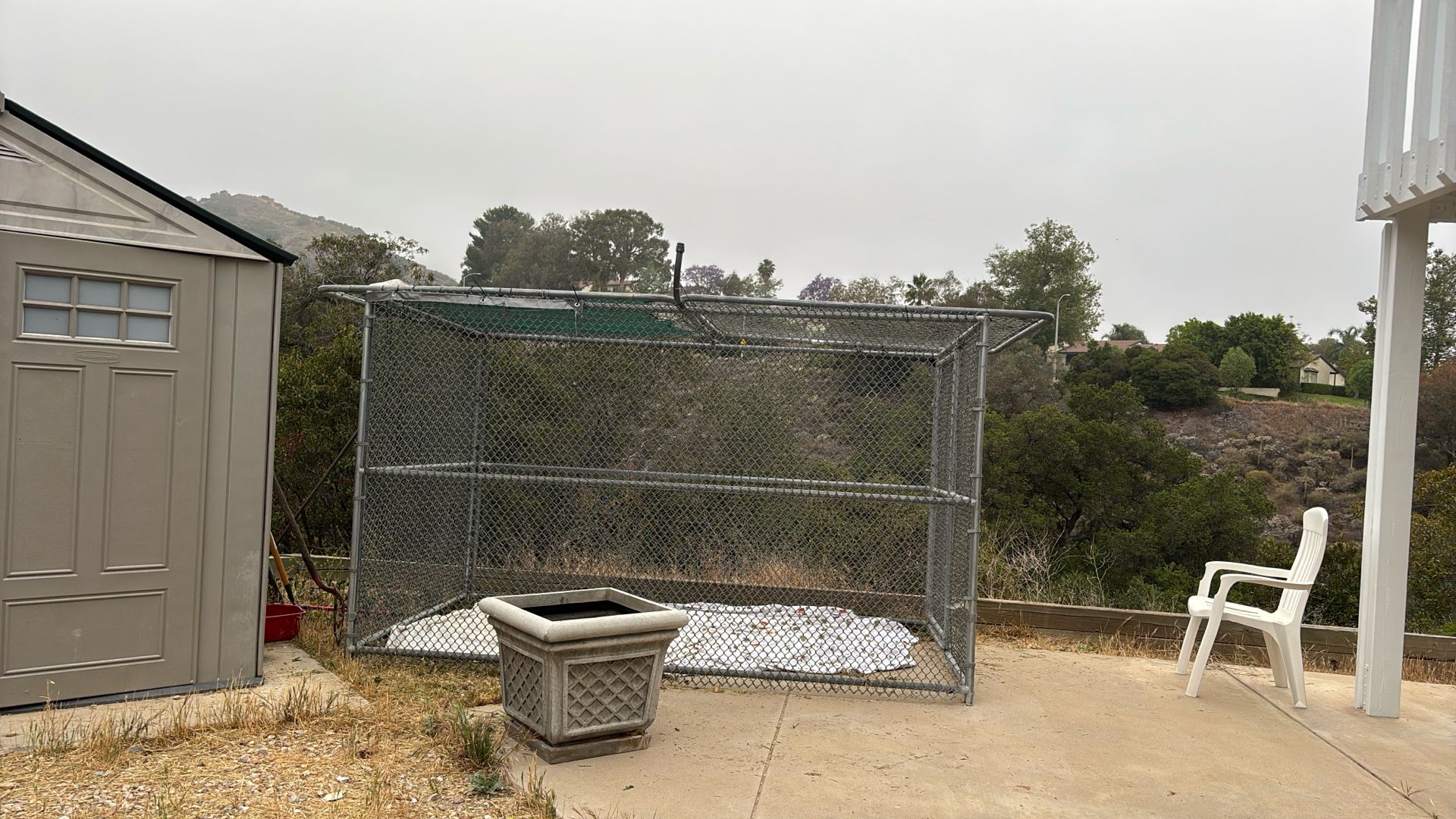 Nine Gauge Steel Dog Kennel 6X12 Feet