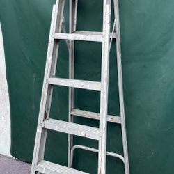 6ft Ladder
