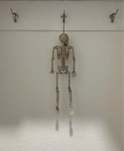Halloween decor hanging skeleton