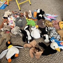 Beanie Babies 