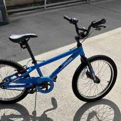 20” Jamis Laser (Boy’s Bike)