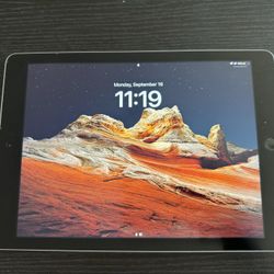 iPad (5th Generation)