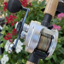 Shimano Calcutta Reel/New Braid/New Black Tip Rod