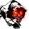 Verge Jaguar