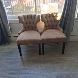 Two  Nice Chair  Suede 