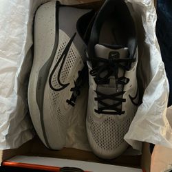 Shoes Nike 11 Gray