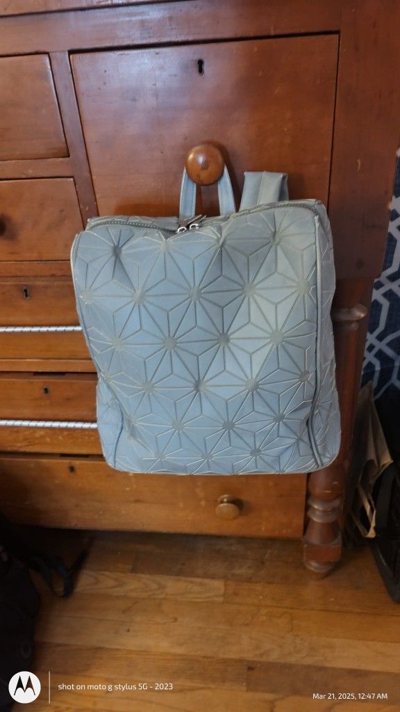 Epcot Backpack Super Reflective