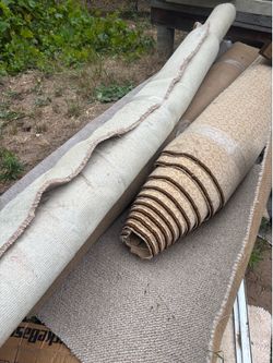 Free carpet today