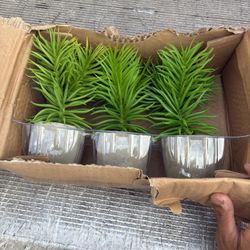 3 Pack Of Artificial Plants