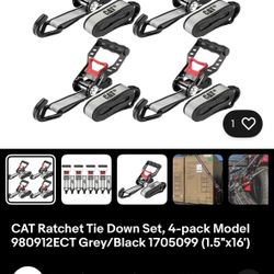 CAT Rachet Tie Down Set 4 Pk