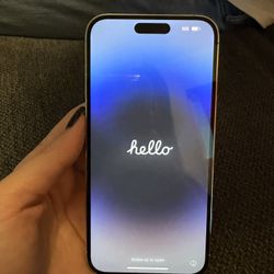 iPhone 14 Pro Max 