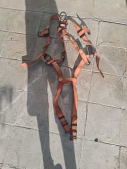 Harness