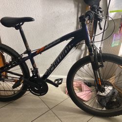 Mountain Bike