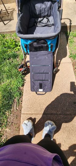 HPZ pet rover titan HD premium super sized pet stroller with ramp (blue)