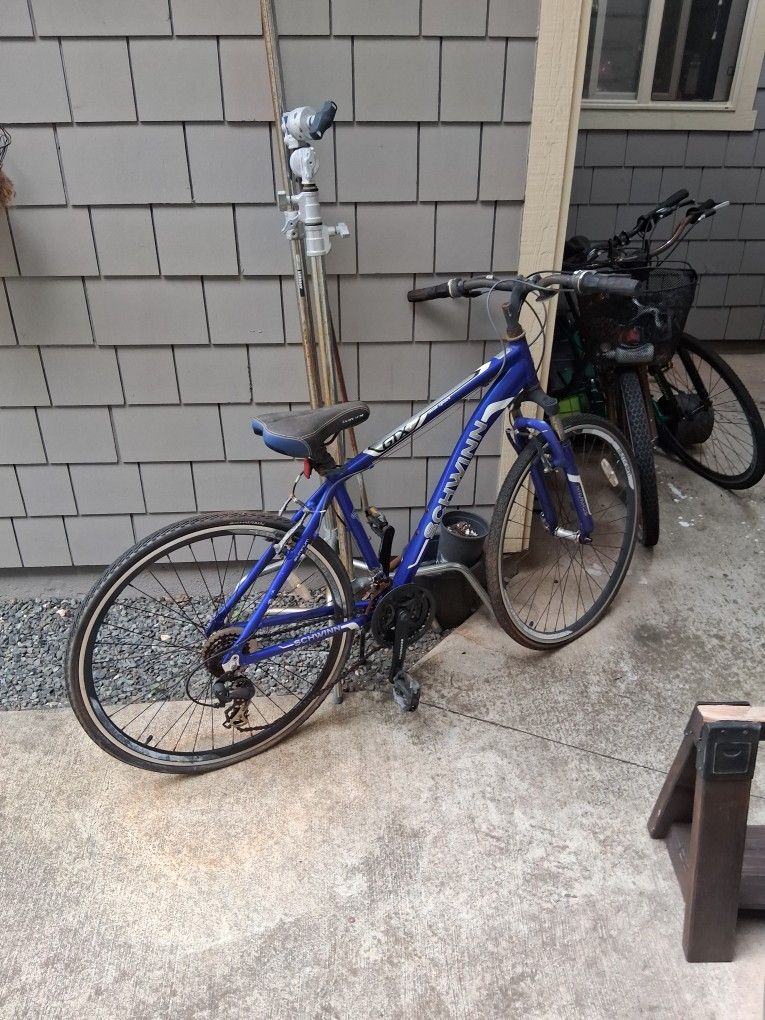 Schwinn Gtx Dual Sport 700c