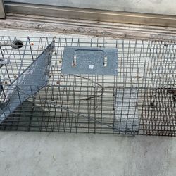 Animal Trap