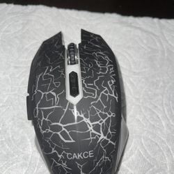 Mouse