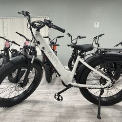 TST Defender F6222 Step-Thru E-Bike