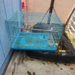 Bird Cage 