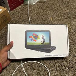 Portable video player