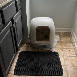  Cat Litter Box