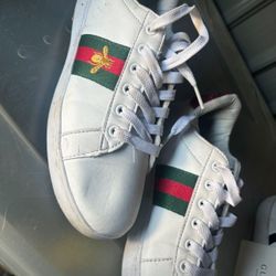 Tenis Shoes Woman’s