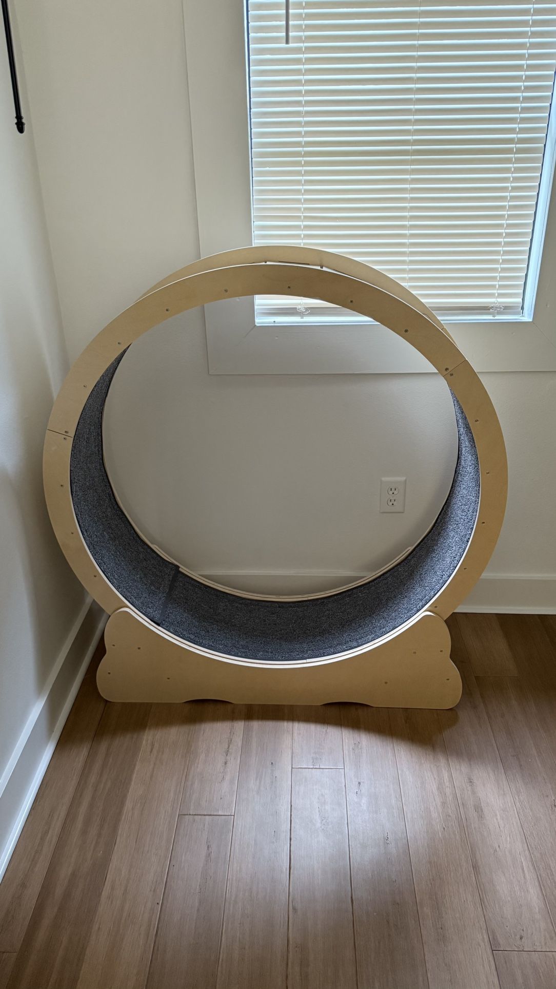 Cat Treadmill Wheel- Running Exercise