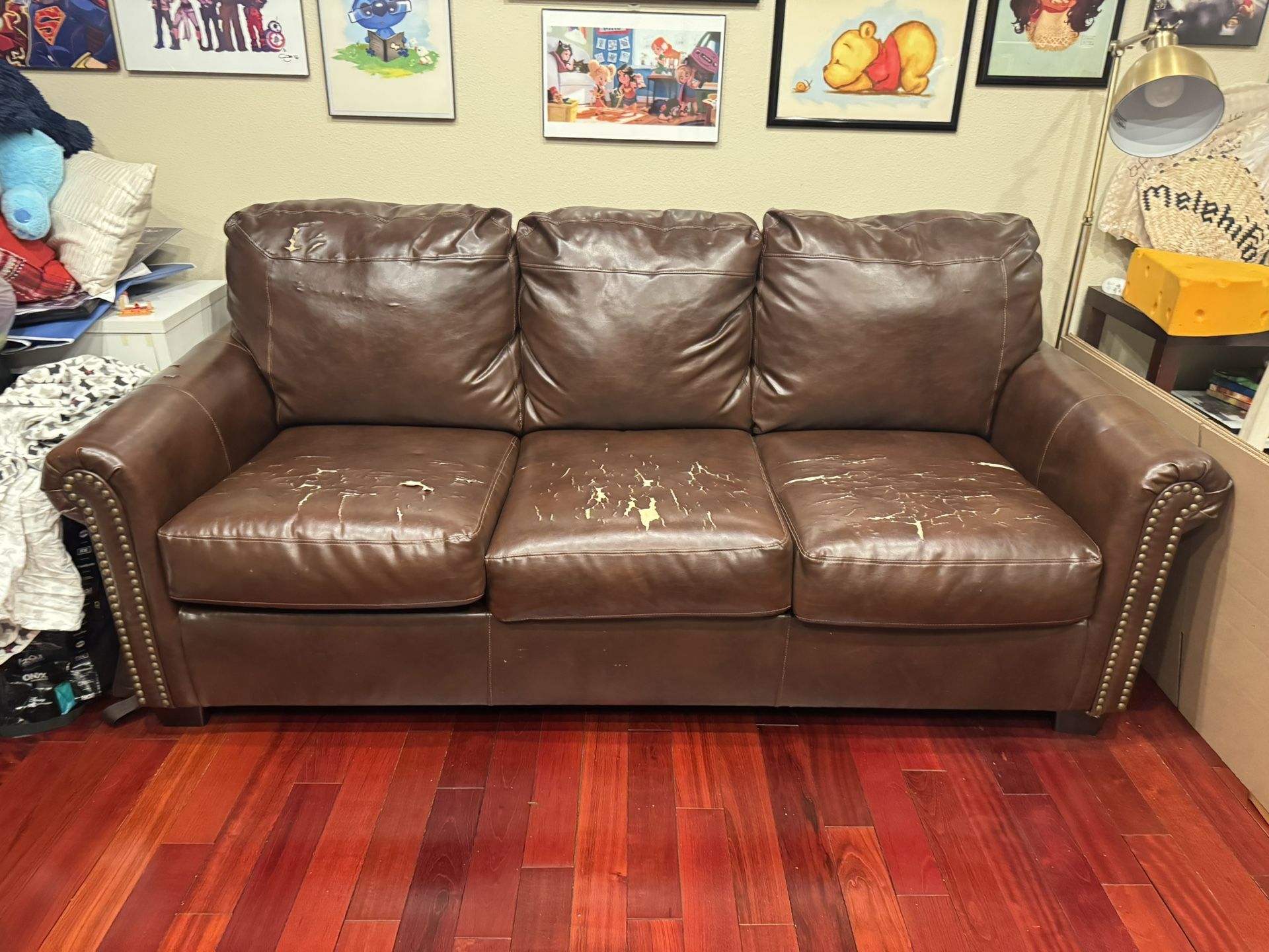 Sofa Couch With Pullout Bed