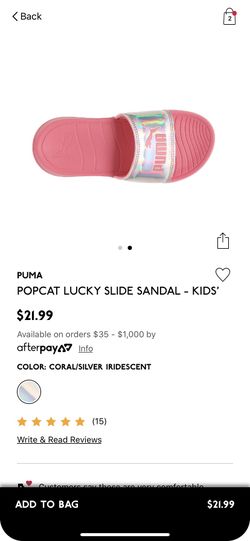 Puma slides