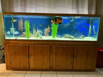 125 Gallon Fish Tank Aquarium - Full Setup!