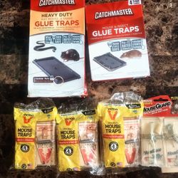 Mouse  Traps  And Glue Traps 