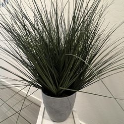 Artificial Plant 🪴 