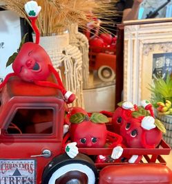 🍎 Apples Only $10