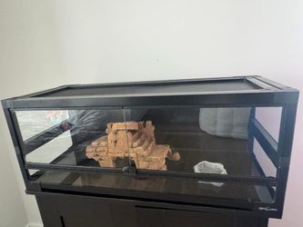 Reptile Terrarium Supplies