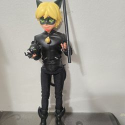 Cat noir