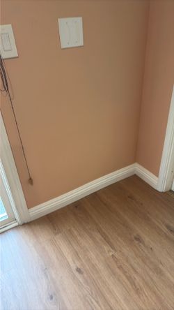 Free Paint