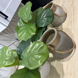 Home Decor 