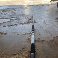 Tide Water Spinning Rod