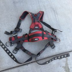 Harness Belt