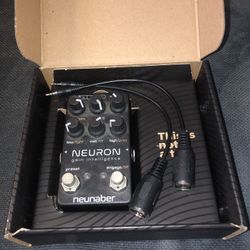 Neunaber Neuron Gain Intelligence 